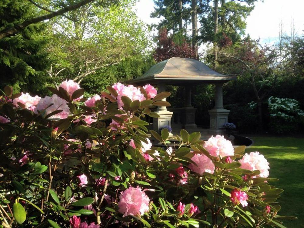 English Inn Esquimalt 外观 照片